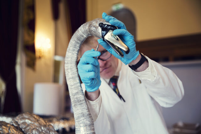 Constantine Ltd technician assembling sculpture
