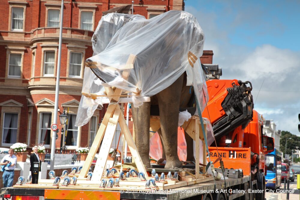 Constantine transporting a 1.5 tonne African bull elephant