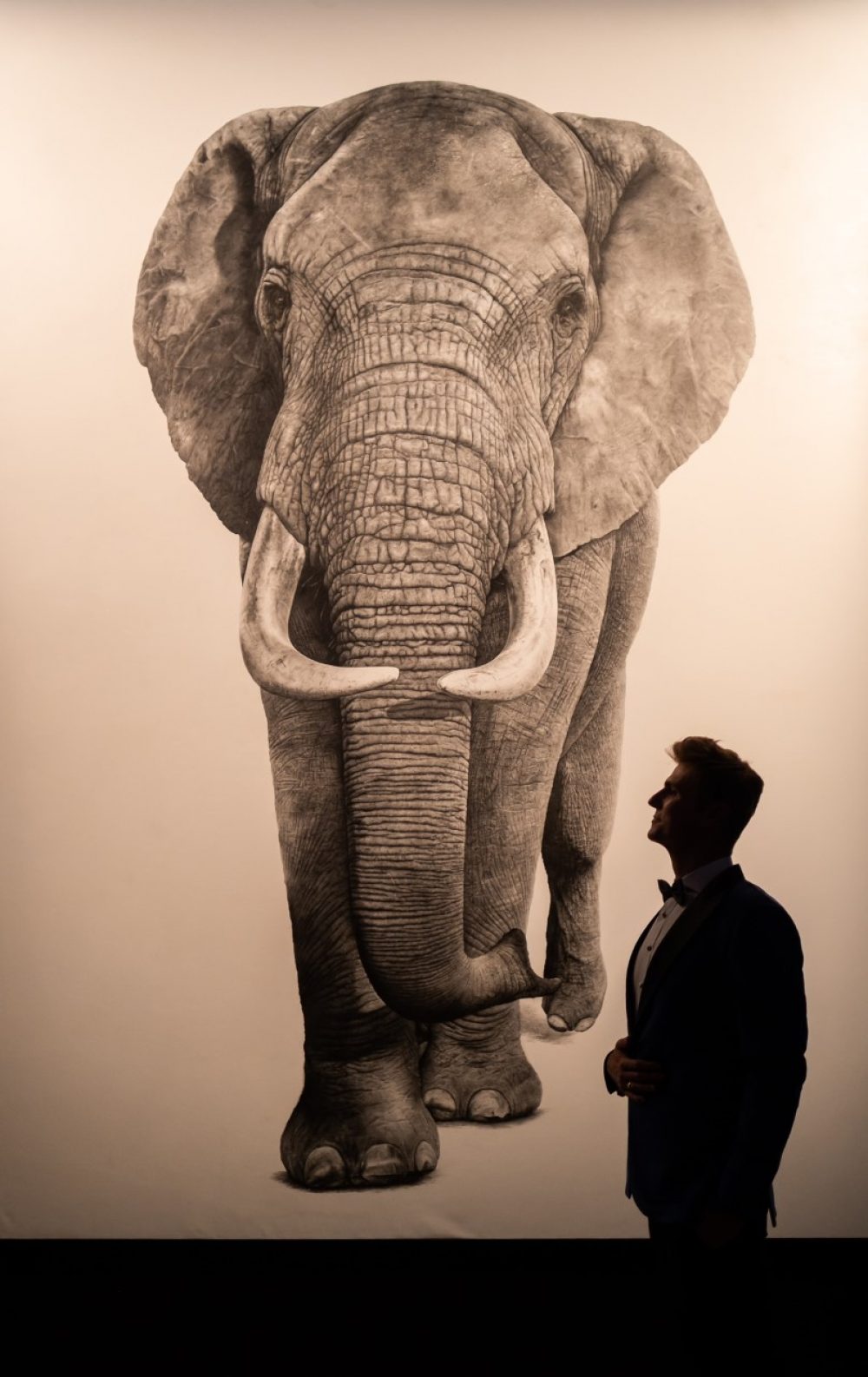 Makavusi's life size elephant drawing