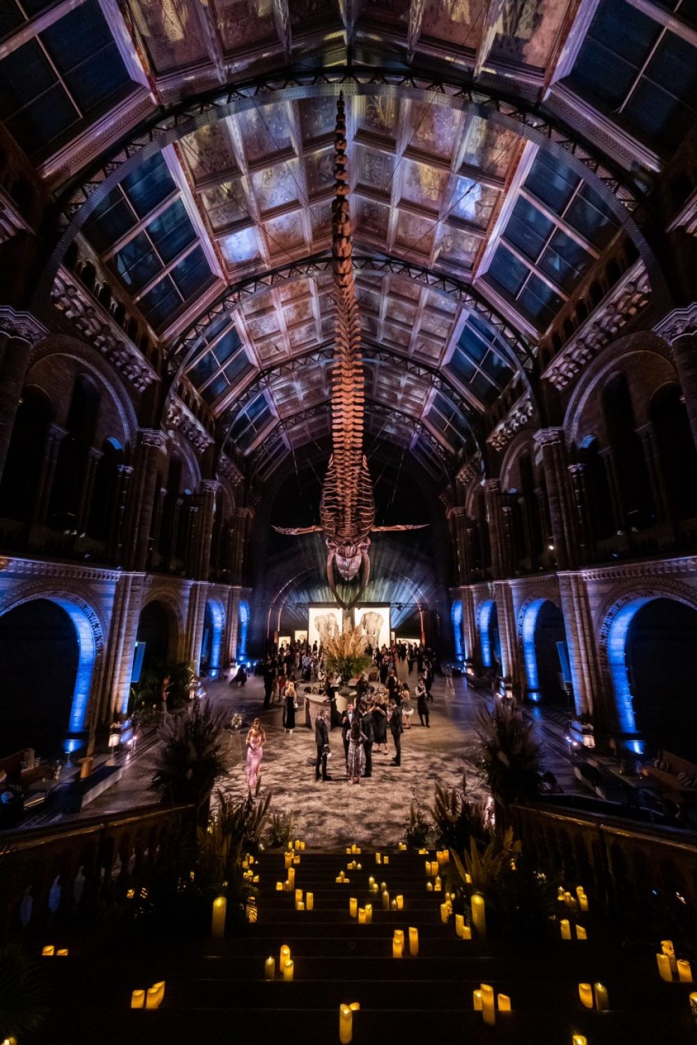 Makavusi's life size elephant drawings at the Natural History Museum