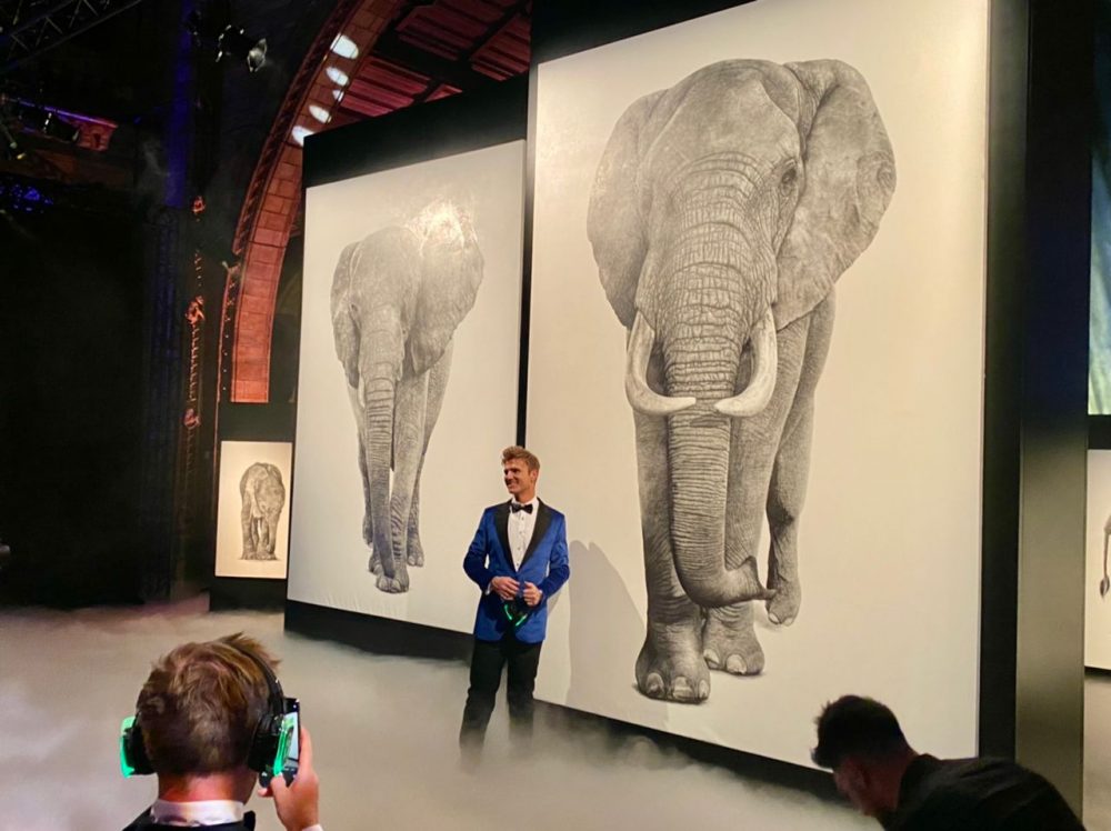 Art Installation Exhibition - Makavusi's life size elephant drawings at the Natural History Museum