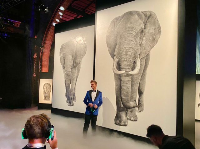 Art Installation Exhibition - Makavusi's life size elephant drawings at the Natural History Museum